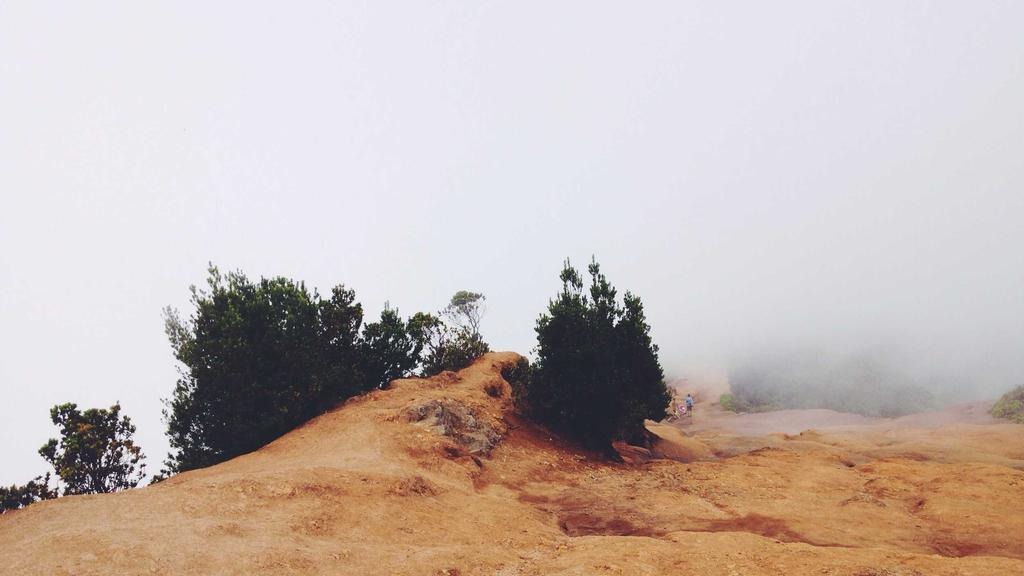 다주택자 양도세 중과 세율 계산