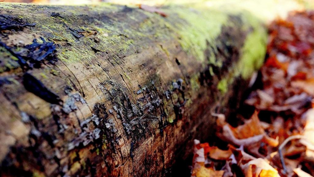 다주택자 양도세 중과 세율 계산