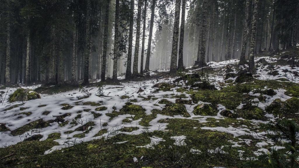 부모님 효도 보험 추천 비교