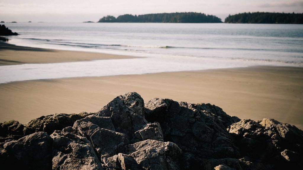 정부 정책자금 대출 금리 비교