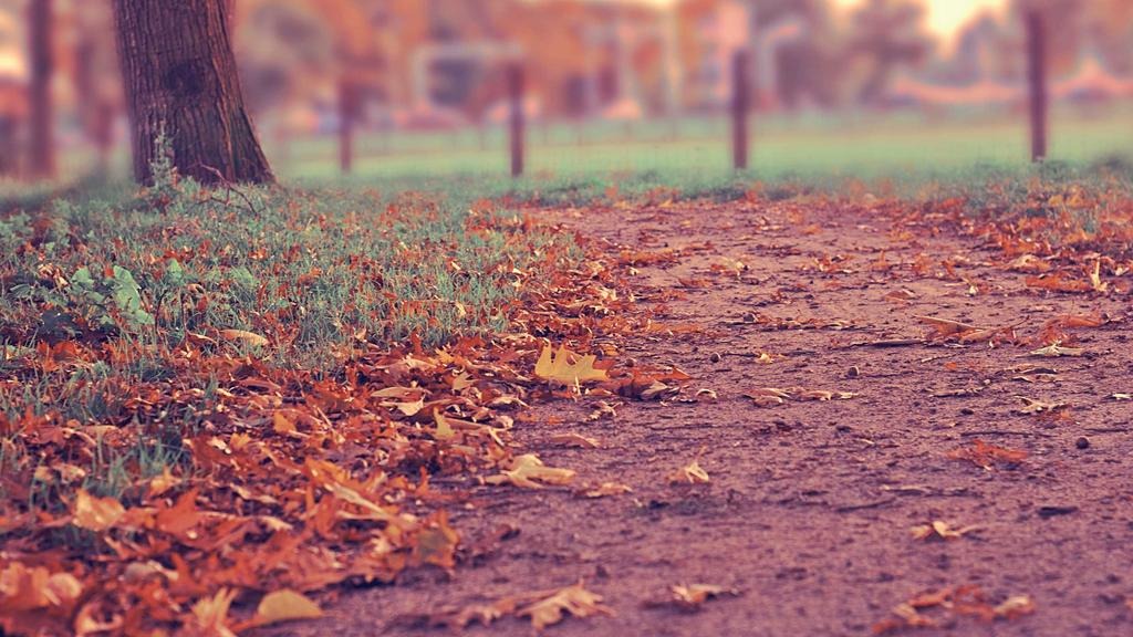 소상공인 창업자금 대출 비교 추천