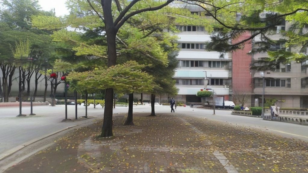 애드센스 수익 챌린지 2027: 초보도 100만원 버는 비법 공개